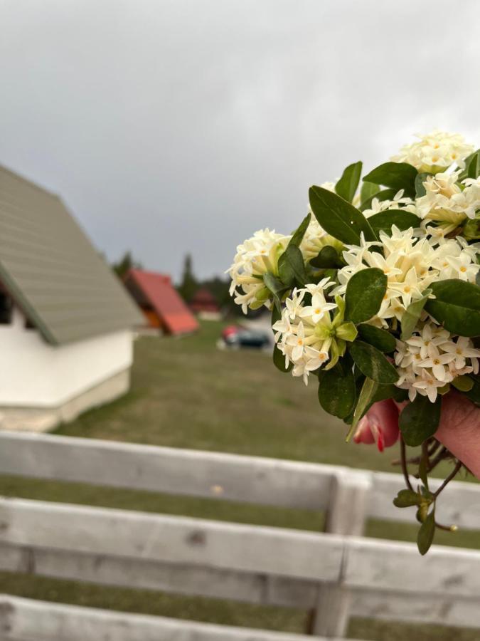 Bungalows Krstajic 자블야크 외부 사진